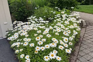 21 Carriage Hill Cir, Southborough, MA 01772 - Photo 31