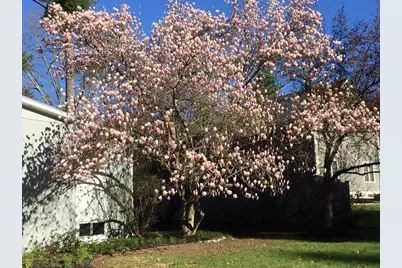 69 Robbins Rd, Sudbury, MA 01776 - Photo 35