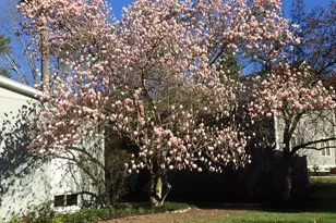 69 Robbins Rd, Sudbury, MA 01776 - Photo 35