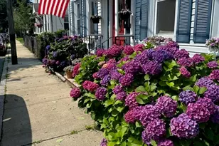 16 Port Norfolk, Boston, MA 02122 - Photo 1