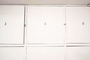 51 Warren, Waltham, MA 02453 - Photo 15