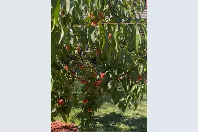 21 Barstow Dr, Braintree, MA 02184 - Photo 29