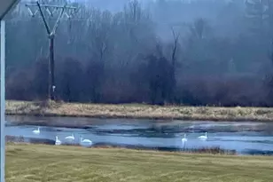 6 Lynbrook Rd, Southborough, MA 01772 - Photo 41