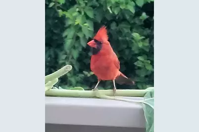 26 Carlson Ln, Barnstable, MA 02668 - Photo 29