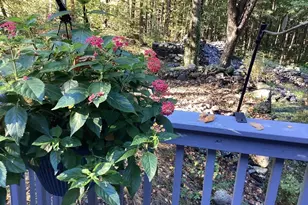 9 Spaulding Rd, Shirley, MA 01464 - Photo 39