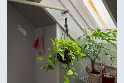 96 Harrishof St #3, Boston, MA 02121 - Photo 15