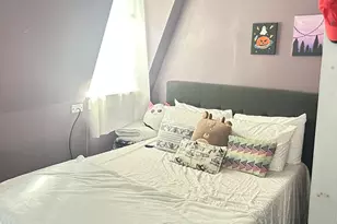 127 Elijah St, Springfield, MA 01109 - Photo 15