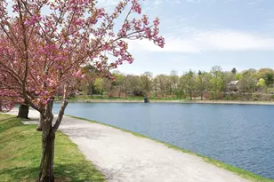 140 Dudley St, Brookline, MA 02445 - Photo 21