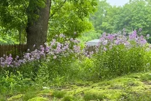 768 Salem, Groveland, MA 01834 - Photo 9