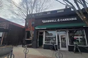 1686 Massachusetts Ave, Cambridge, MA 02138 - Photo 7