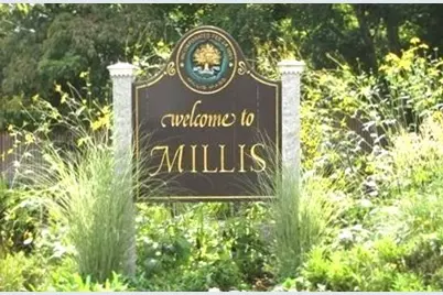 283 Orchard Street, Millis, MA 02054 - Photo 41