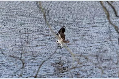 15 Riverview Ave #D, Mashpee, MA 02469 - Photo 31