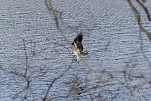 15 Riverview Ave, Mashpee, MA 02469 - Photo 31