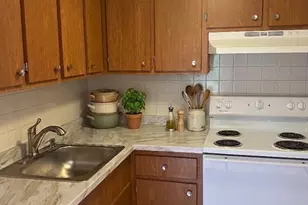 524 Putnam Ave, Cambridge, MA 02139 - Photo 3