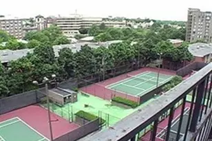 33 Pond Ave, Brookline, MA 02445 - Photo 15