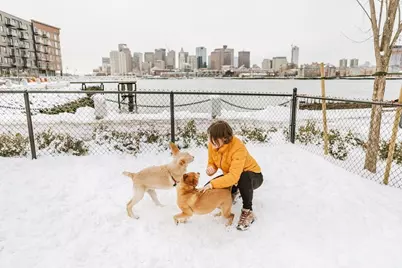 65 Lewis St #511, Boston, MA 02128 - Photo 39