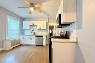 18 Harold Park, Boston, MA 02119 - Photo 21