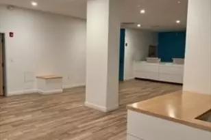 29 Franklin St, Needham, MA 02494 - Photo 11