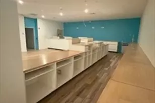 29 Franklin St, Needham, MA 02494 - Photo 9