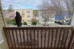 4442 Washington St, Boston, MA 02131 - Photo 19