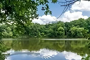 33 Pond Ave, Brookline, MA 02445 - Photo 19