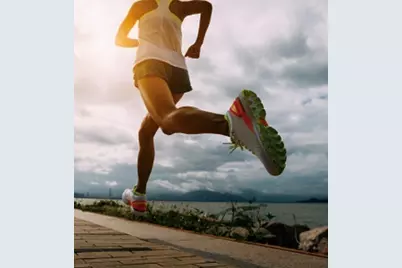 33 Pond Avenue #321, Brookline, MA 02445 - Photo 17