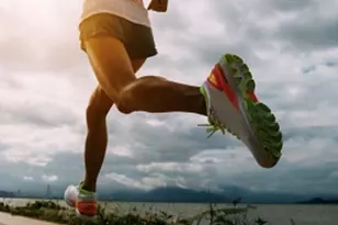 33 Pond Ave, Brookline, MA 02445 - Photo 17