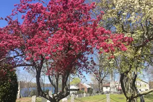 18 Gould St, Wakefield, MA 01880 - Photo 33