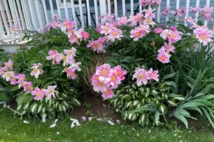 18 Gould St, Wakefield, MA 01880 - Photo 39