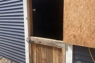 75 Kendall St, Granby, MA 01033 - Photo 25