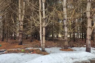 54 E Main St, Plainfield, MA 01070 - Photo 1