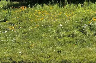 10 Soucy Dr, Rutland, MA 01543 - Photo 17