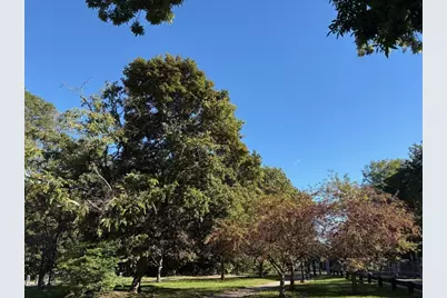 22 Branchfield St. #D1, Boston, MA 02124 - Photo 15