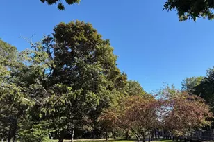 22 Branchfield St, Boston, MA 02124 - Photo 15