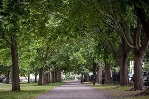 99 Washington St, Salem, MA 01970 - Photo 19