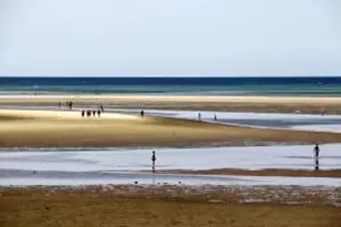 279 Alden Dr, Brewster, MA 02631 - Photo 41