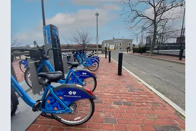 444 Sumner Street #3, Boston, MA 02128 - Photo 29