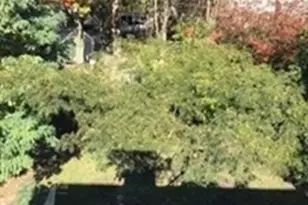 9 Neponset Circle, Boston, MA 02130 - Photo 17