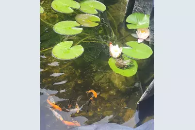 857 South St, Bridgewater, MA 02324 - Photo 7