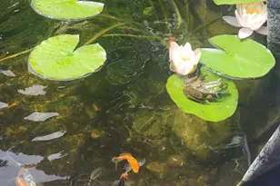 857 South St, Bridgewater, MA 02324 - Photo 7