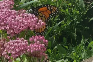 857 South St, Bridgewater, MA 02324 - Photo 19