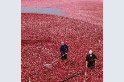 29 Carleton Pl #29, Wareham, MA 02558 - Photo 37