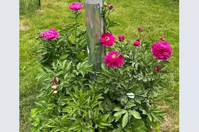 23 Germain St, Worcester, MA 01602 - Photo 37