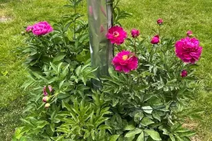 23 Germain St, Worcester, MA 01602 - Photo 37