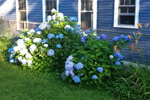 23 Germain St, Worcester, MA 01602 - Photo 37