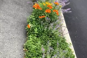 1083 Walnut St, Newton, MA 02461 - Photo 33