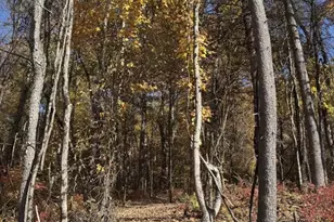 97 Brush Hill Rd, Great Barrington, MA 01230 - Photo 29