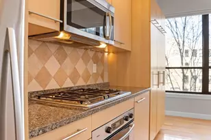 40 Fay St, Boston, MA 02118 - Photo 21