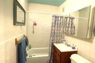 254 Western Ave, Cambridge, MA 02139 - Photo 7