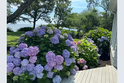 351 Whidah Rd, Chatham, MA 02650 - Photo 17